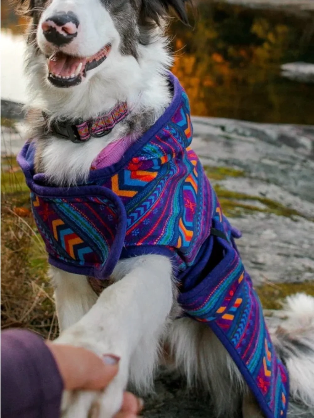 Wilderdog Purple Tribal Hooded Dog Coat with Pocket